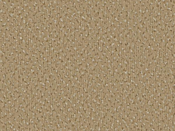 „Vorwerk Alexis Teppichboden in Dunkelbeige – klassische Draufsicht mit samtiger Struktur“